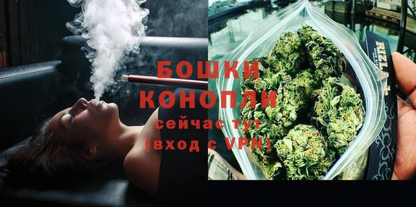 стаф Белокуриха