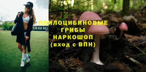 стаф Белокуриха