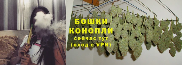 стаф Белокуриха